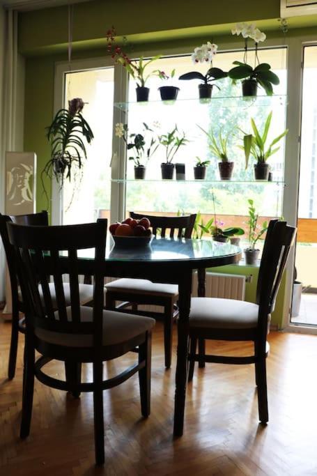 Beautiful Flat In Central Location By Flat Mаnager 소피아 외부 사진