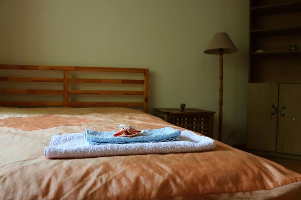 Beautiful Flat In Central Location By Flat Mаnager 소피아 외부 사진