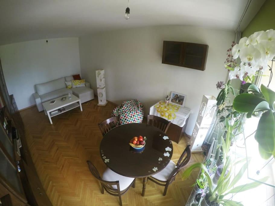 Beautiful Flat In Central Location By Flat Mаnager 소피아 외부 사진